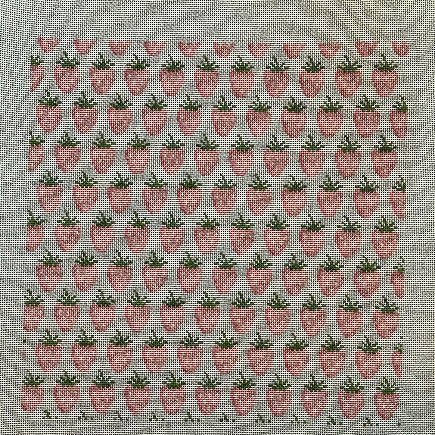 Strawberry Pillow Canvas