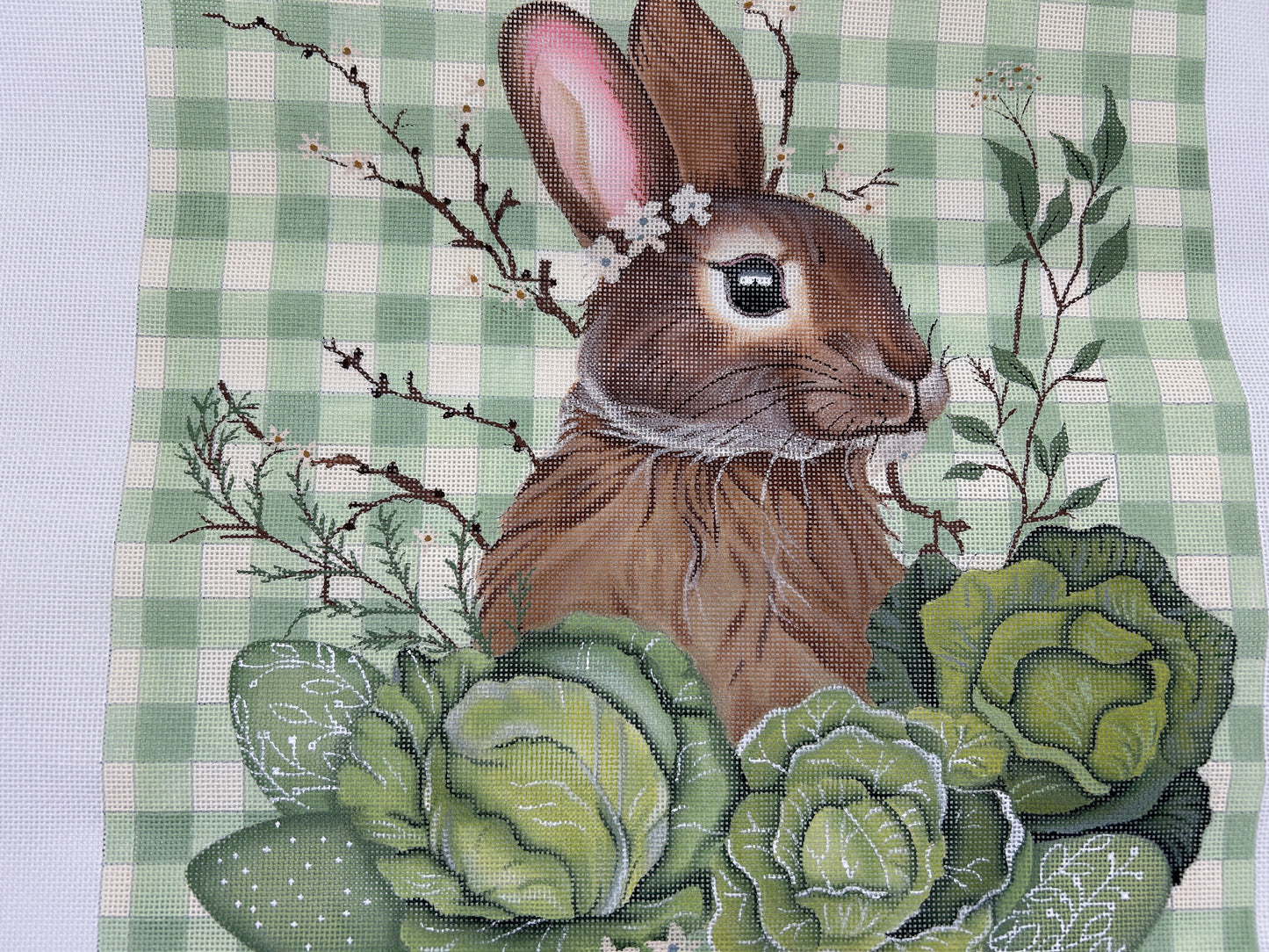 Splendid Bunny