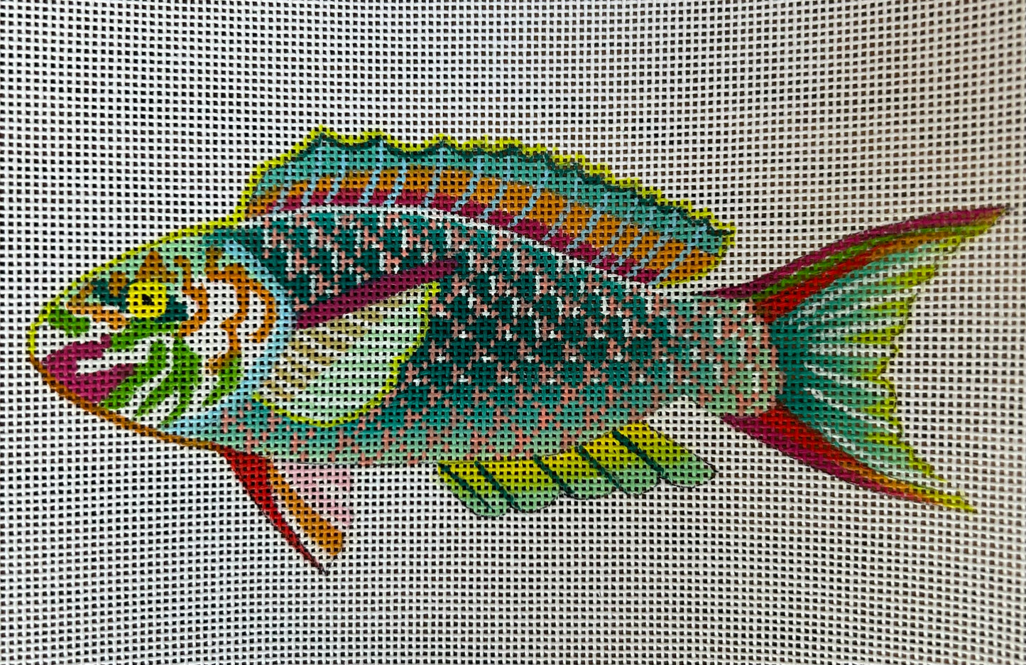 Rainbow Fish