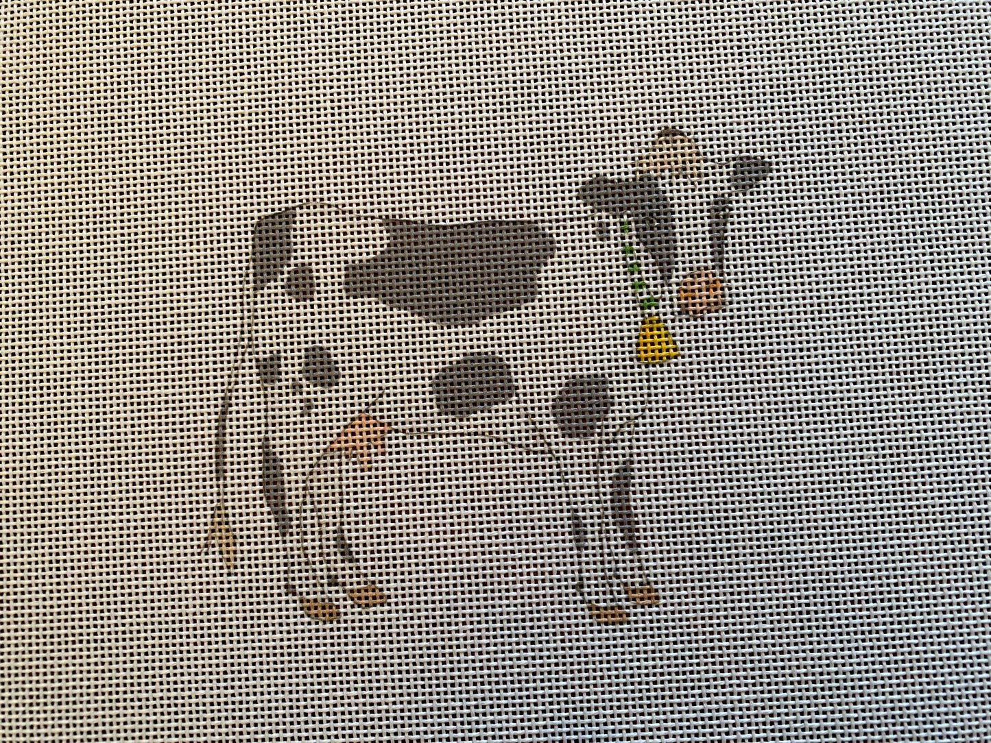 Cow SF85
