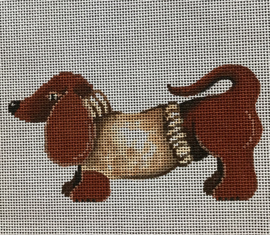 Dachshund with Sweater