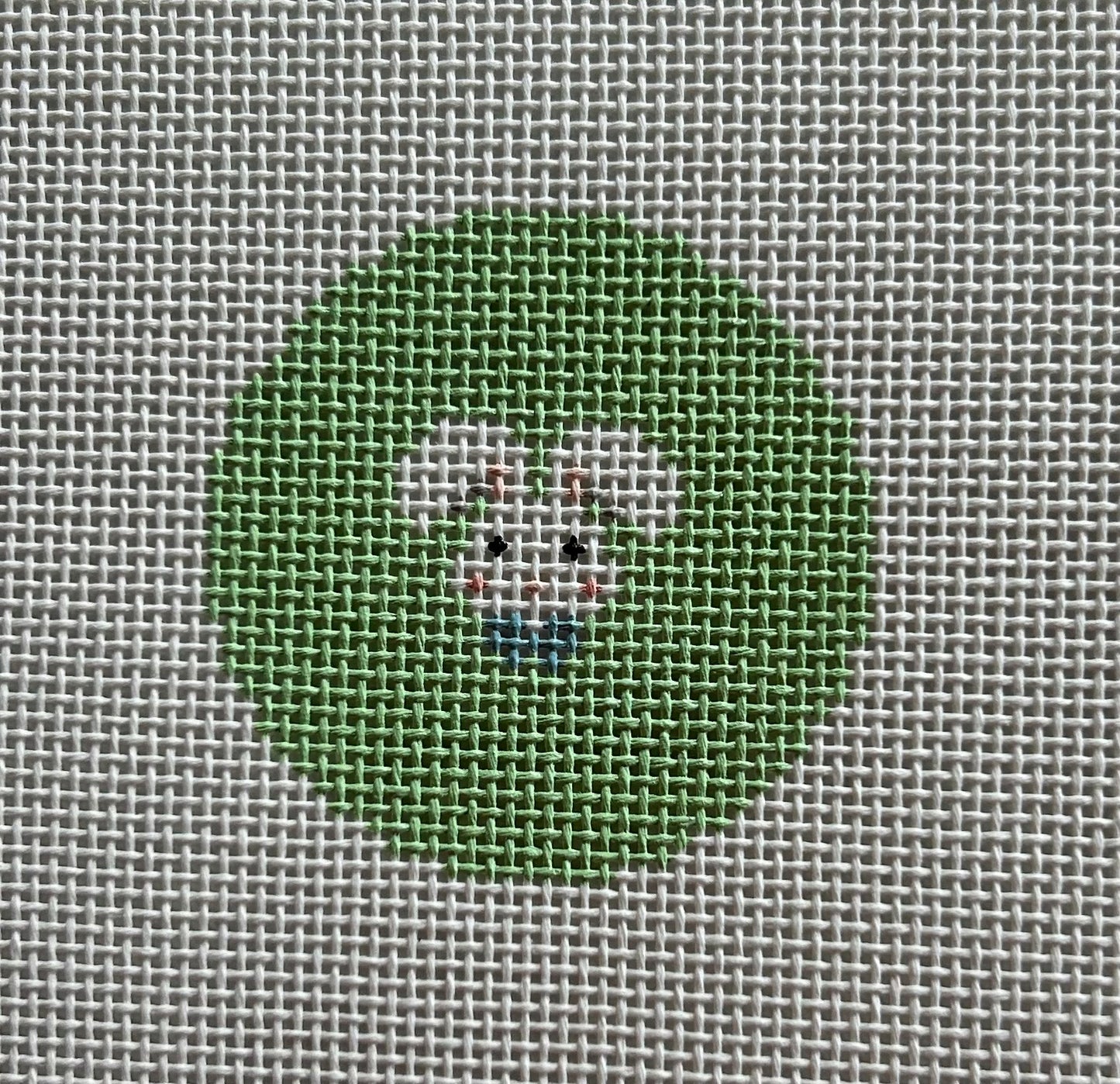 Mini Rabbit Round