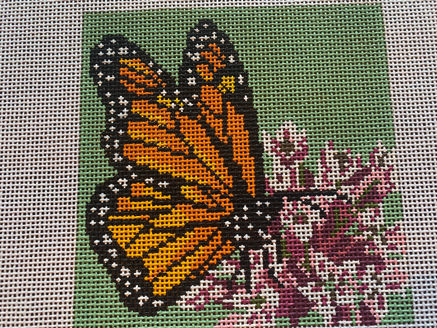 Monarch on Milkweed