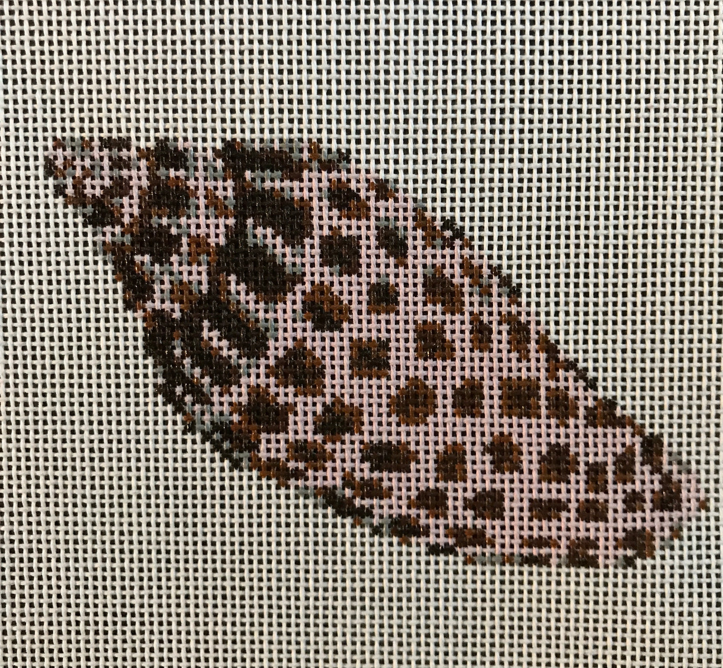 Junonia Shell