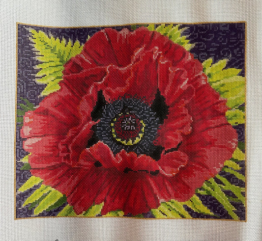 AMAPOLA