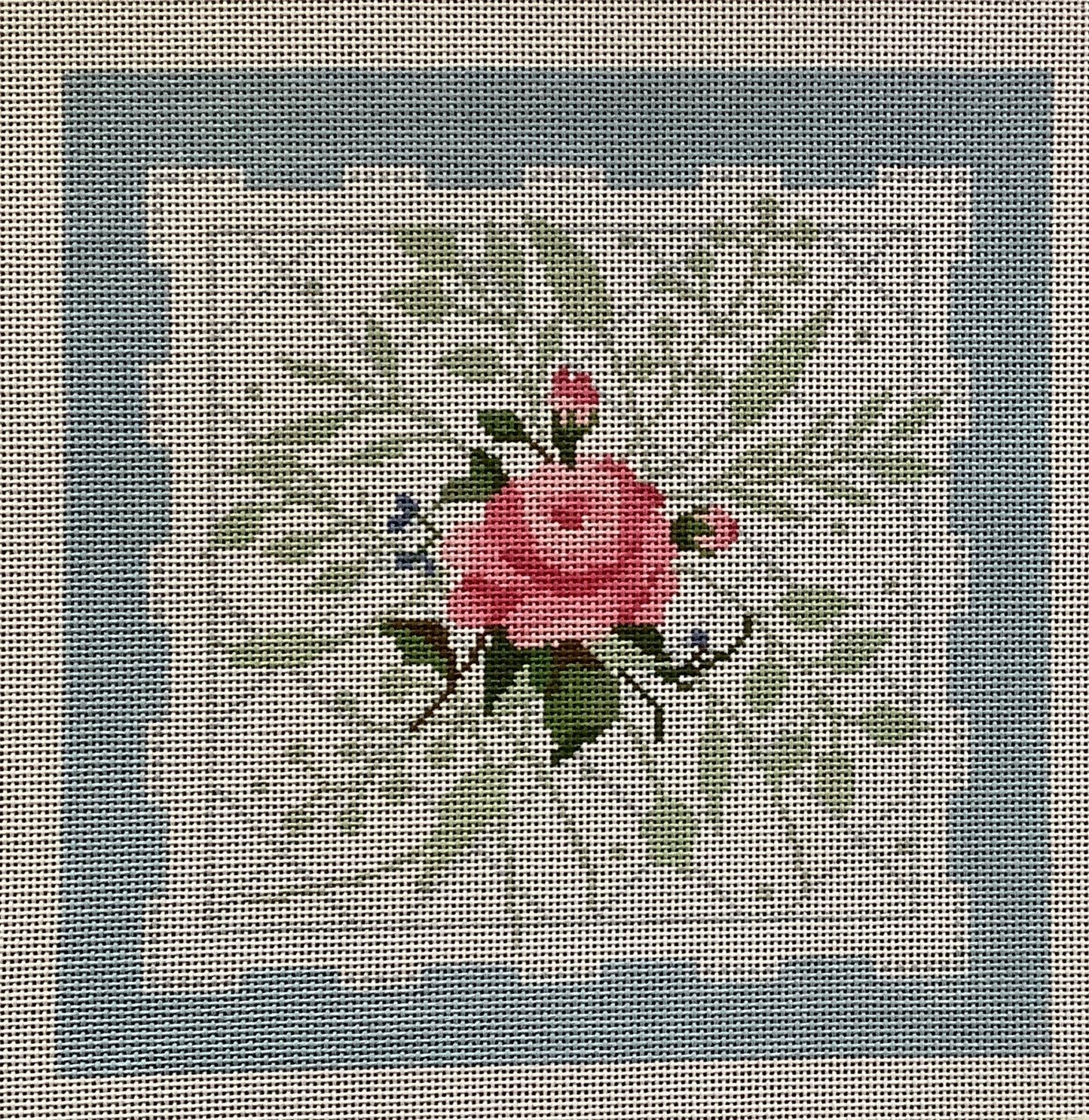 Maritime Rose