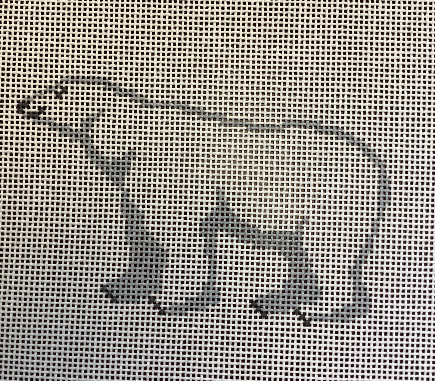 Polar Bear