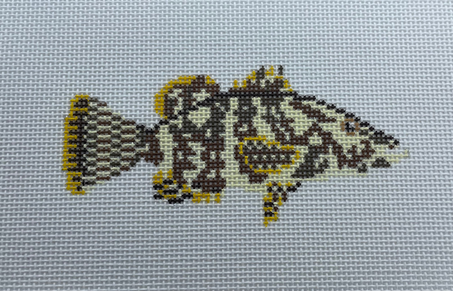 Grouper