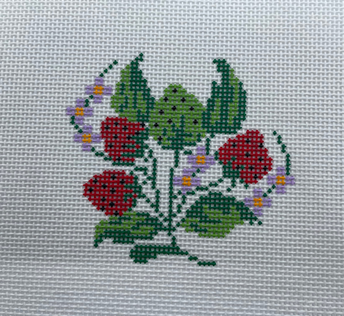 Strawberries by JTD