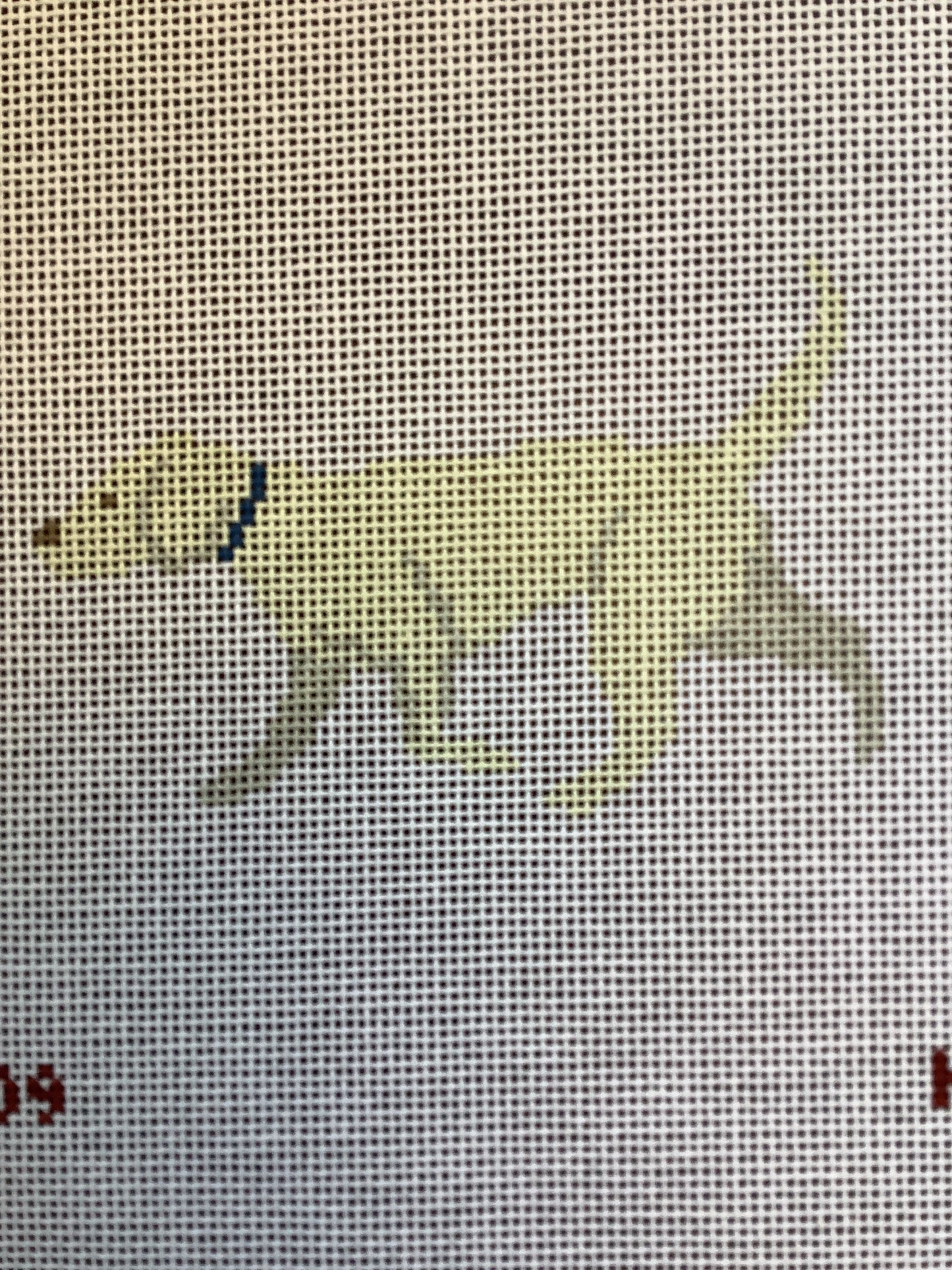 Yellow Lab