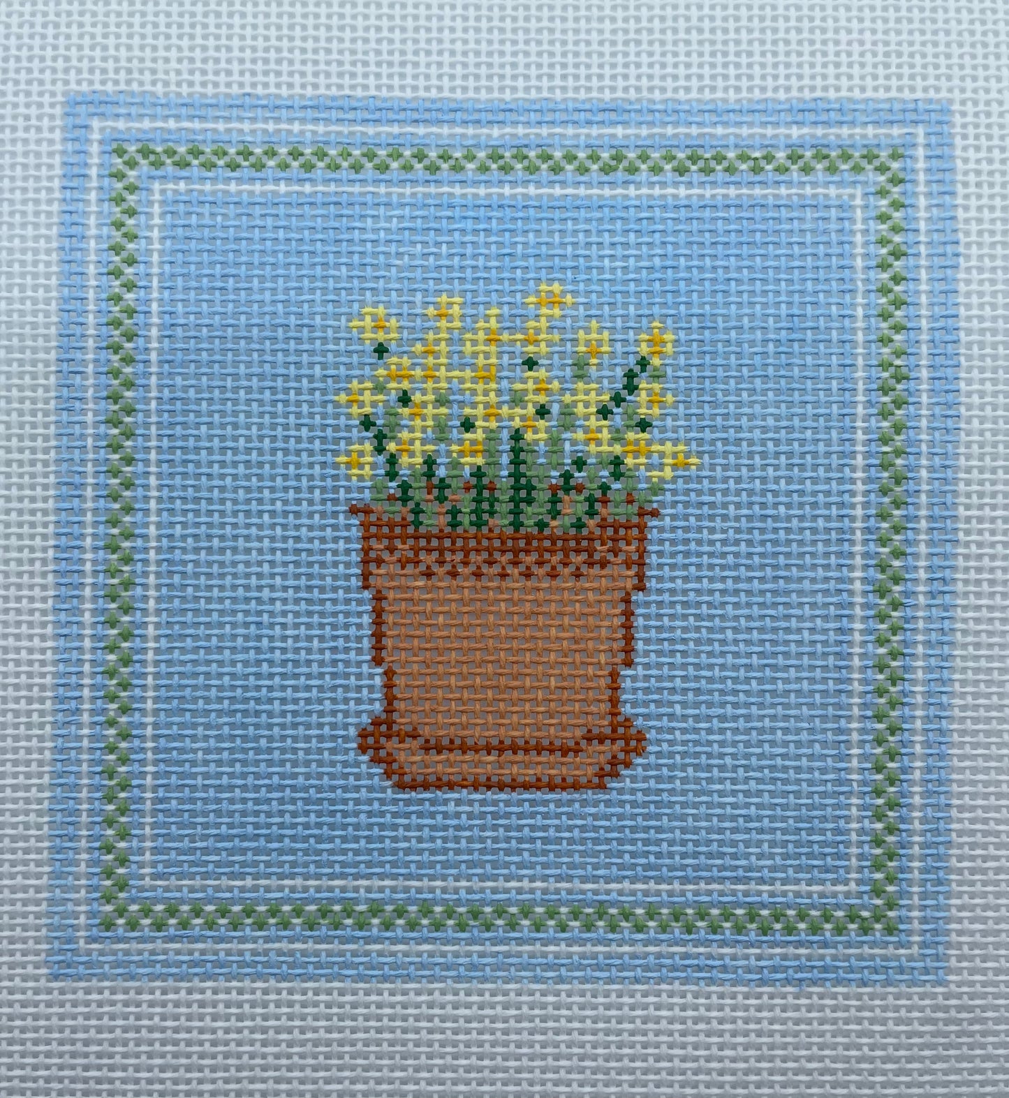 Daffodils on Blue Background