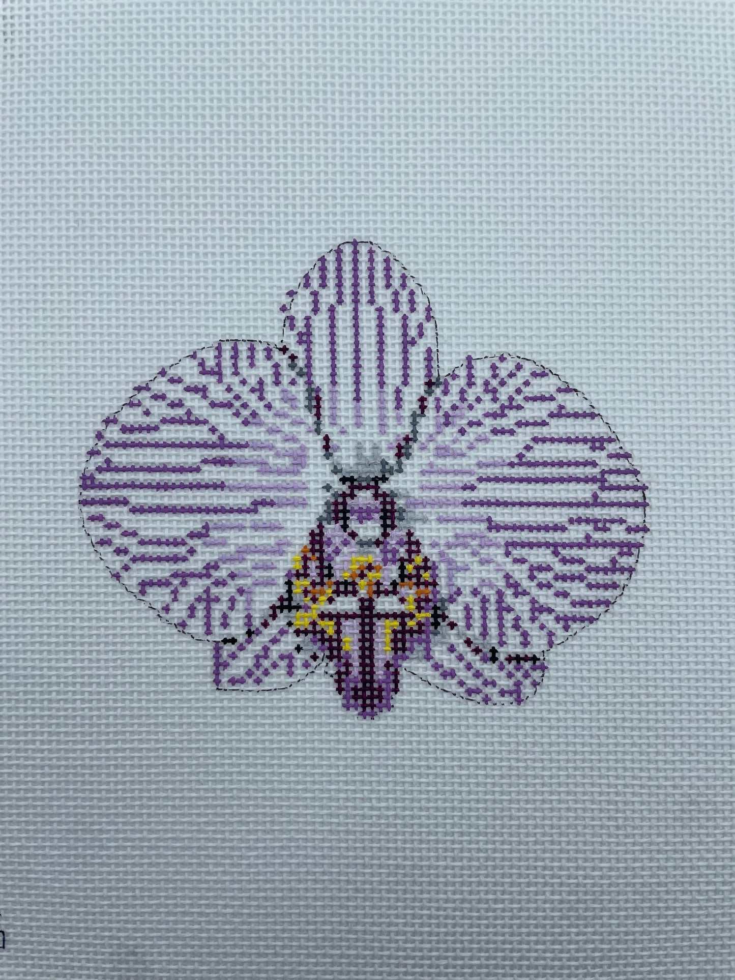 Single Striped Purple Orchid