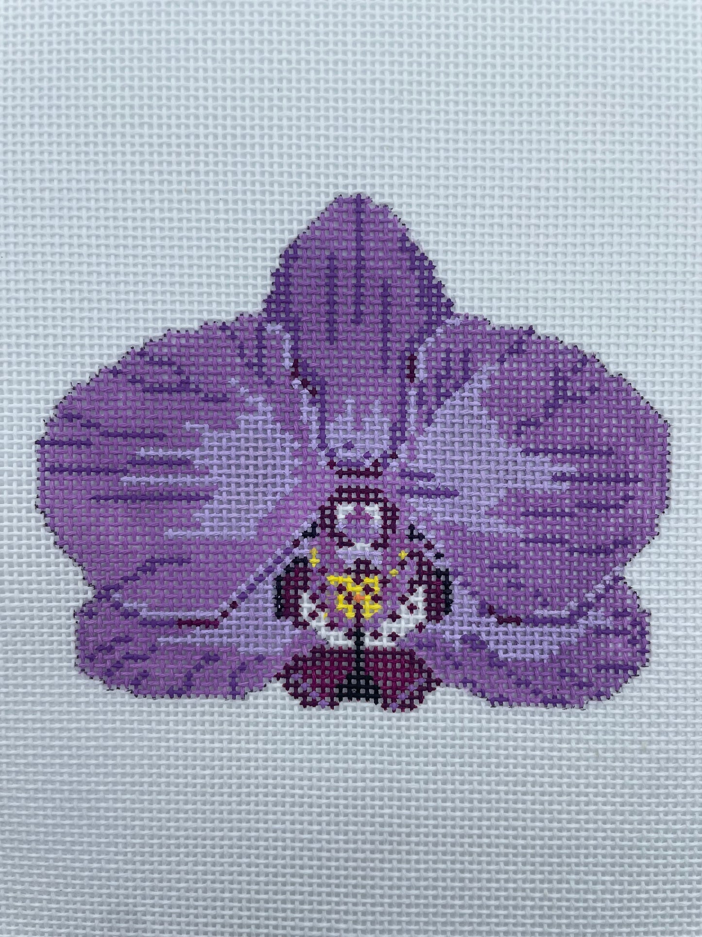 Single Purple Orchid