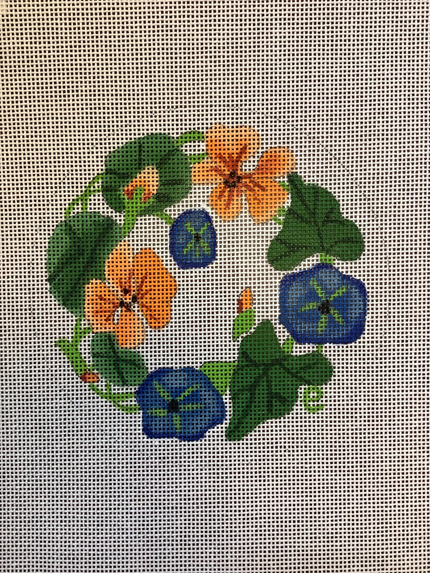 Nasturtiums Round