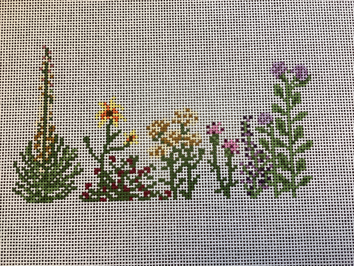 Kansas Wildflowers