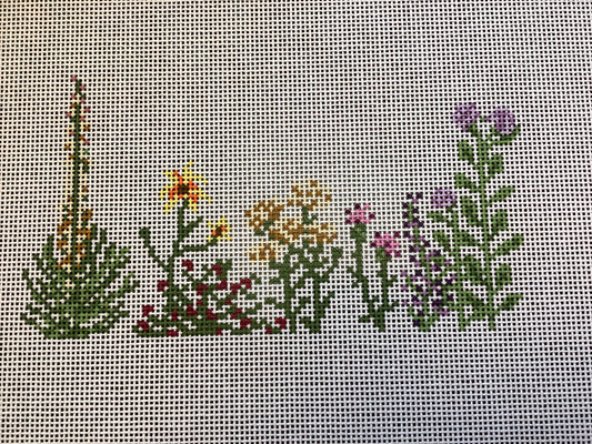 Kansas Wildflowers