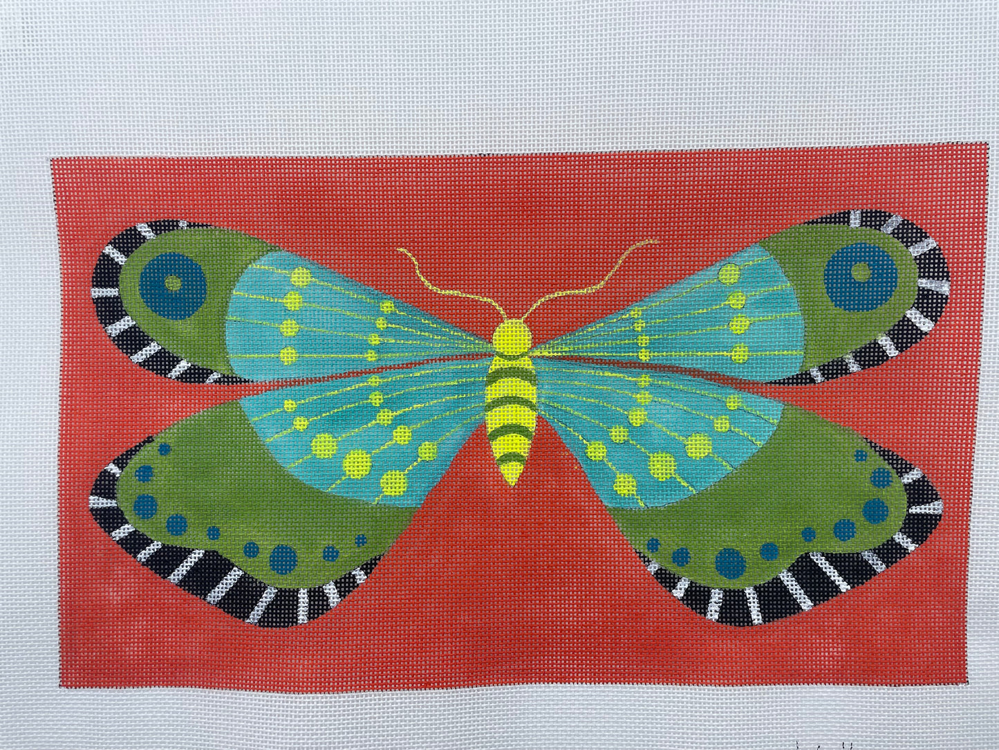 Aqua/Lime Butterfly