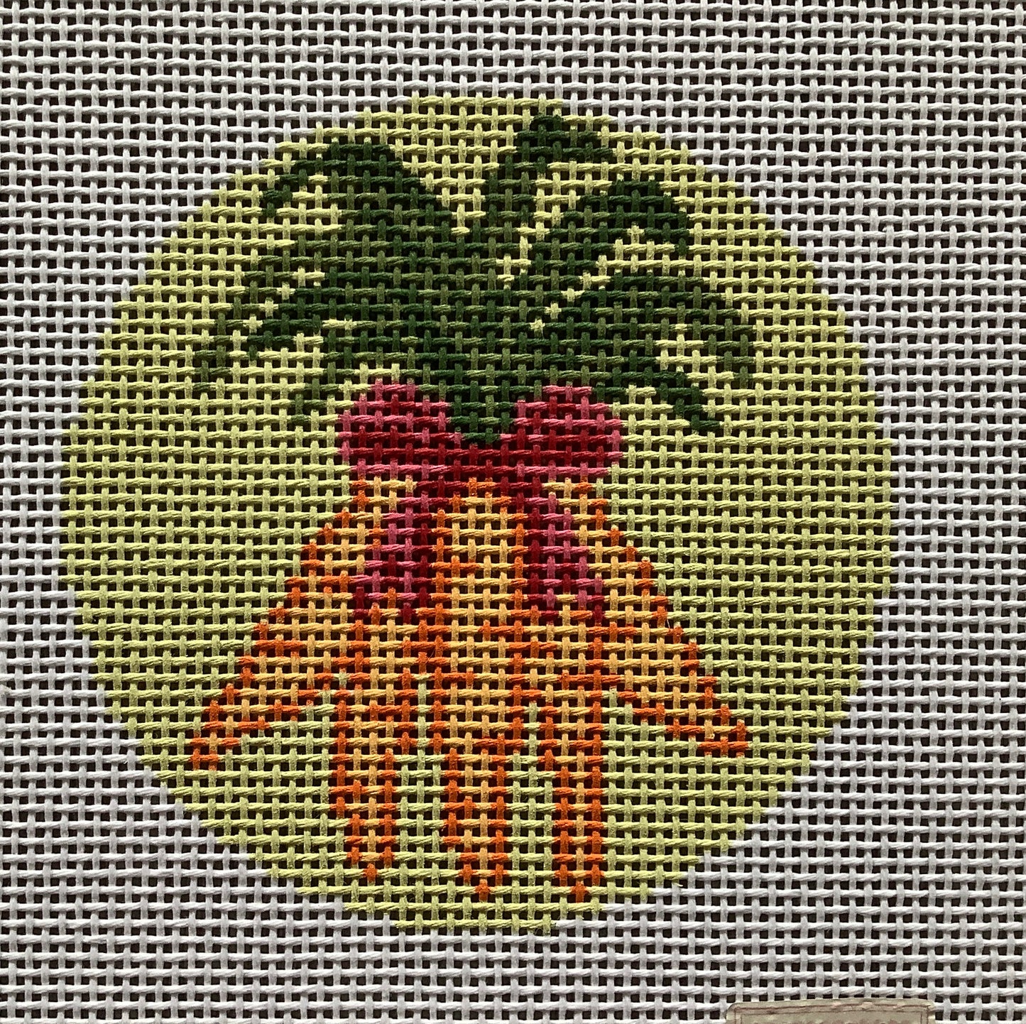 Carrot Bunch - Pink bow