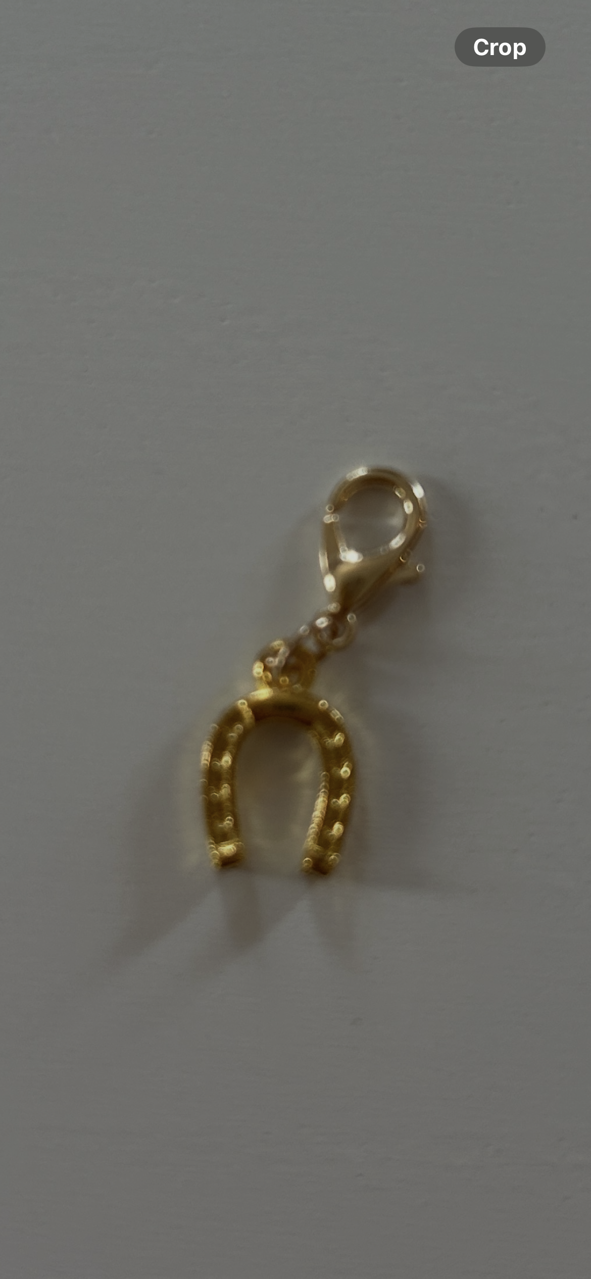 Bougie Charm - Horseshoe