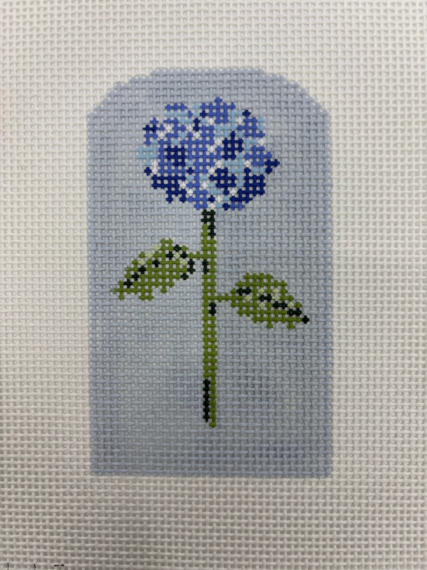 Hydrangea Blue