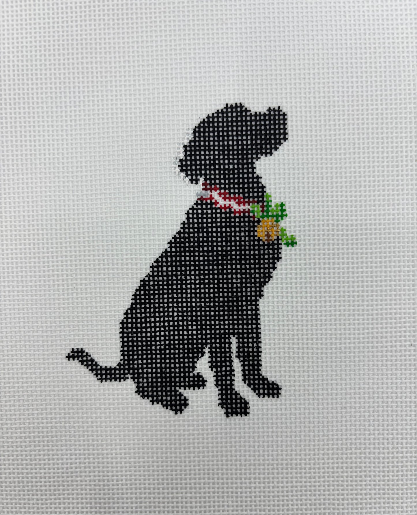 Holly Belle the Lab - 18