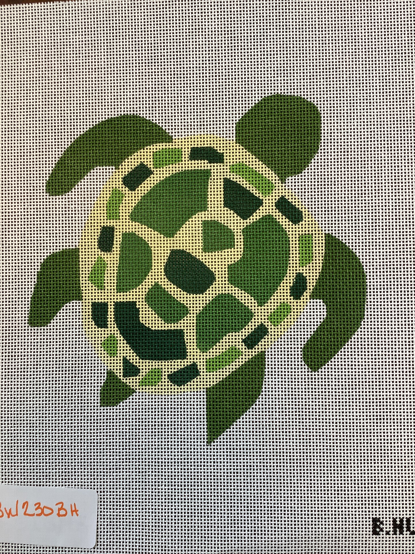Turtle Weight