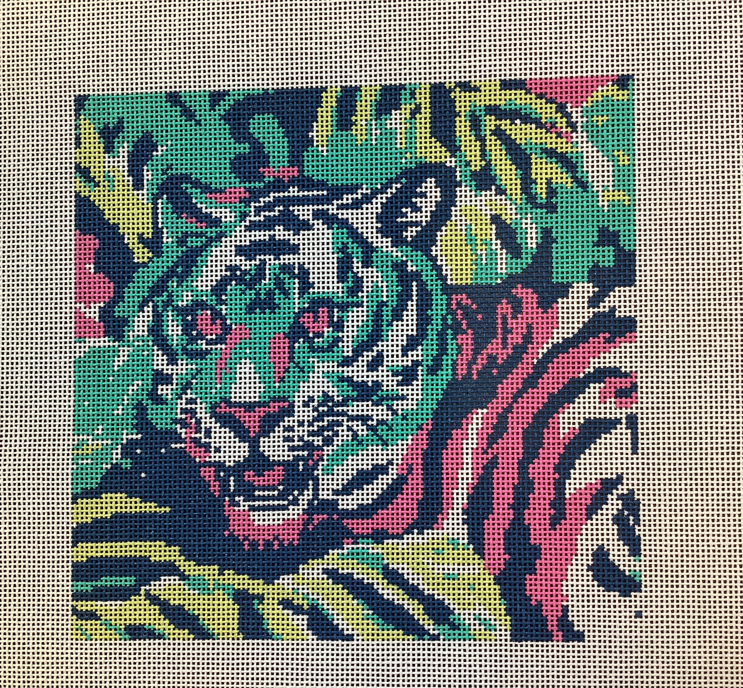 Tiger - TS