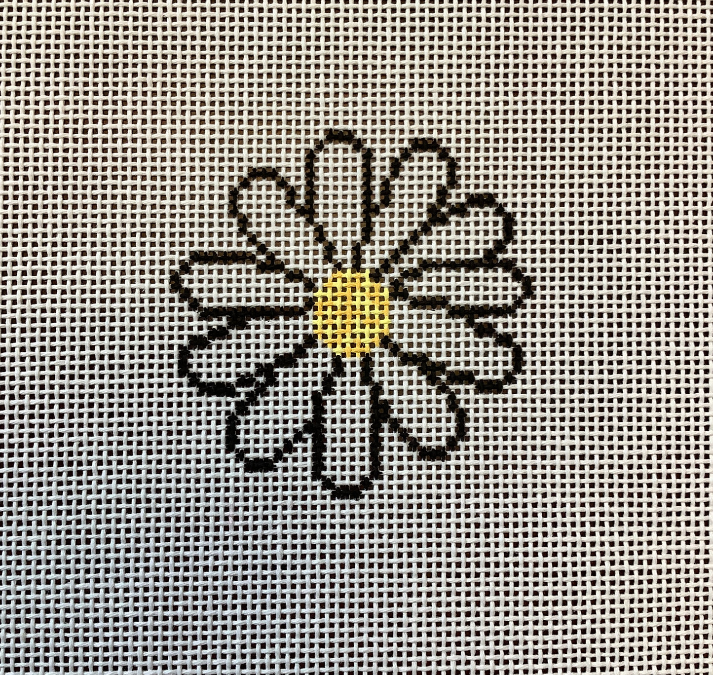 Daisy Mini