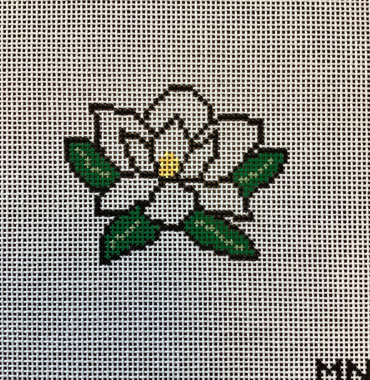 Magnolia Mini