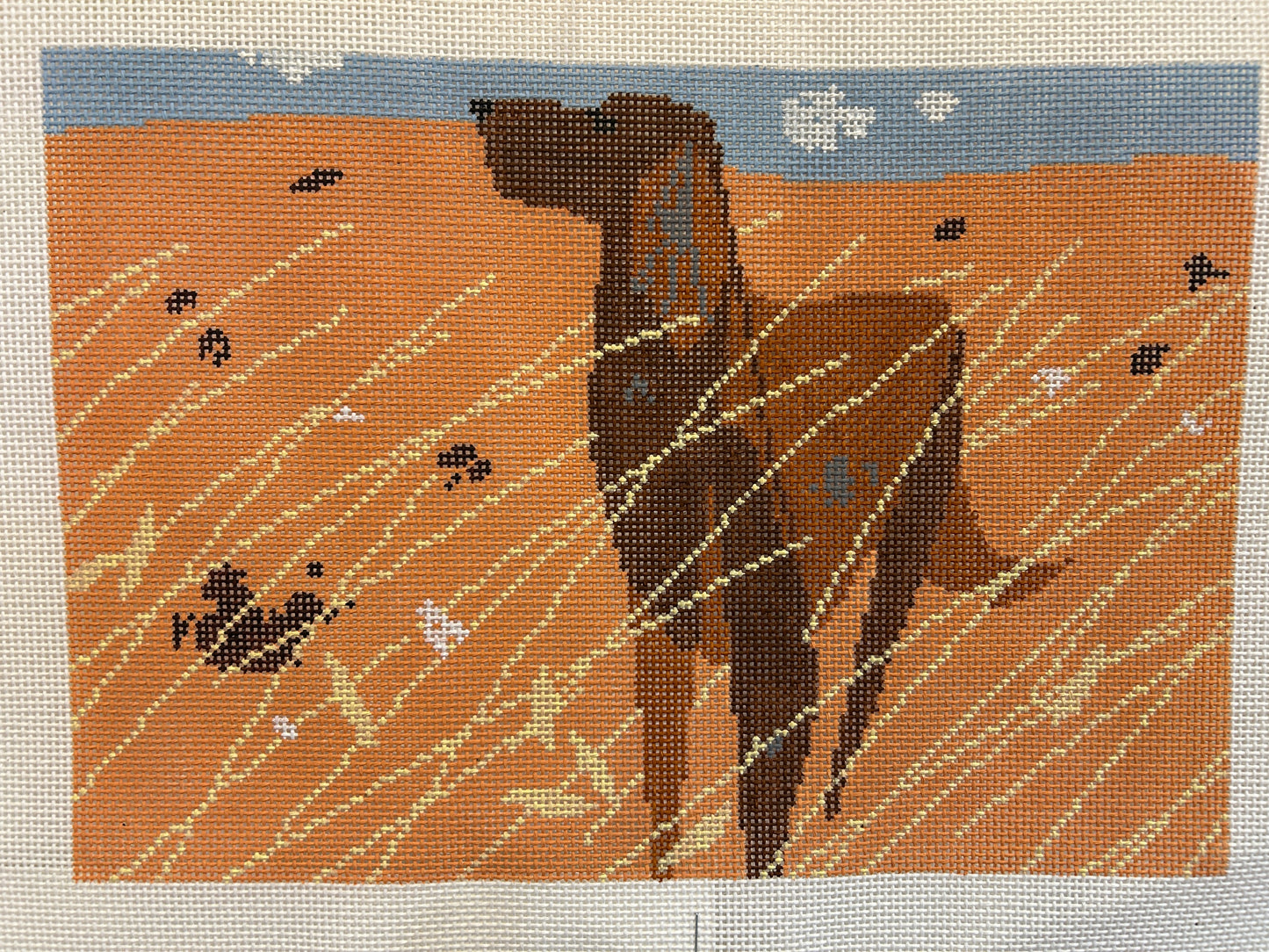 Irish Setter