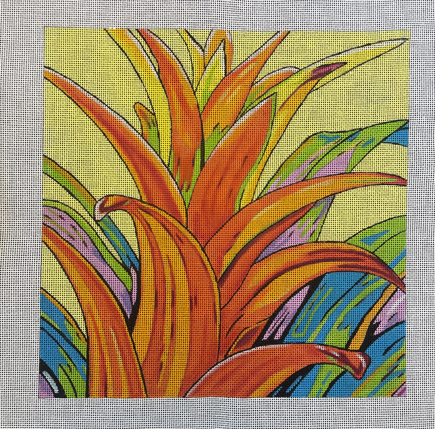 Orange Bromeliad