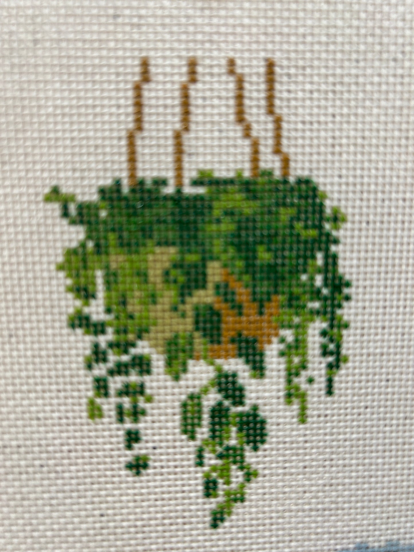 Hanging Planter