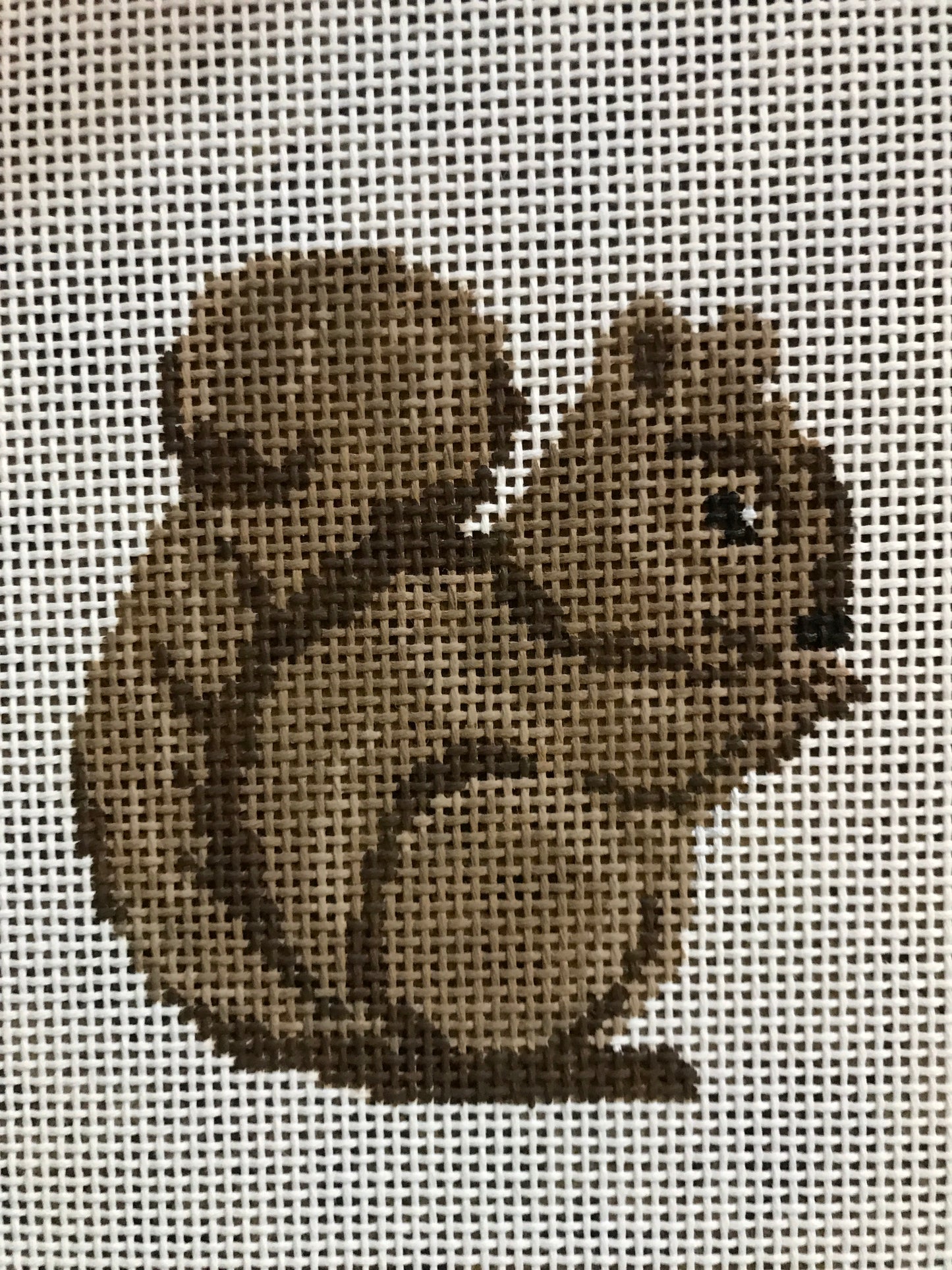 Baby Squirrel