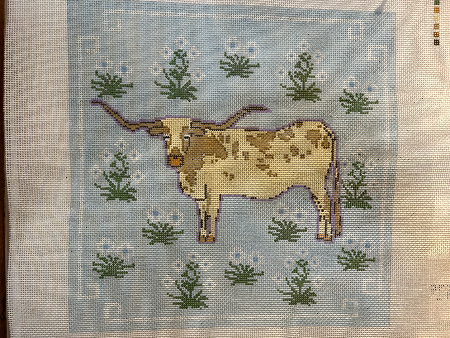 Longhorn Pillow
