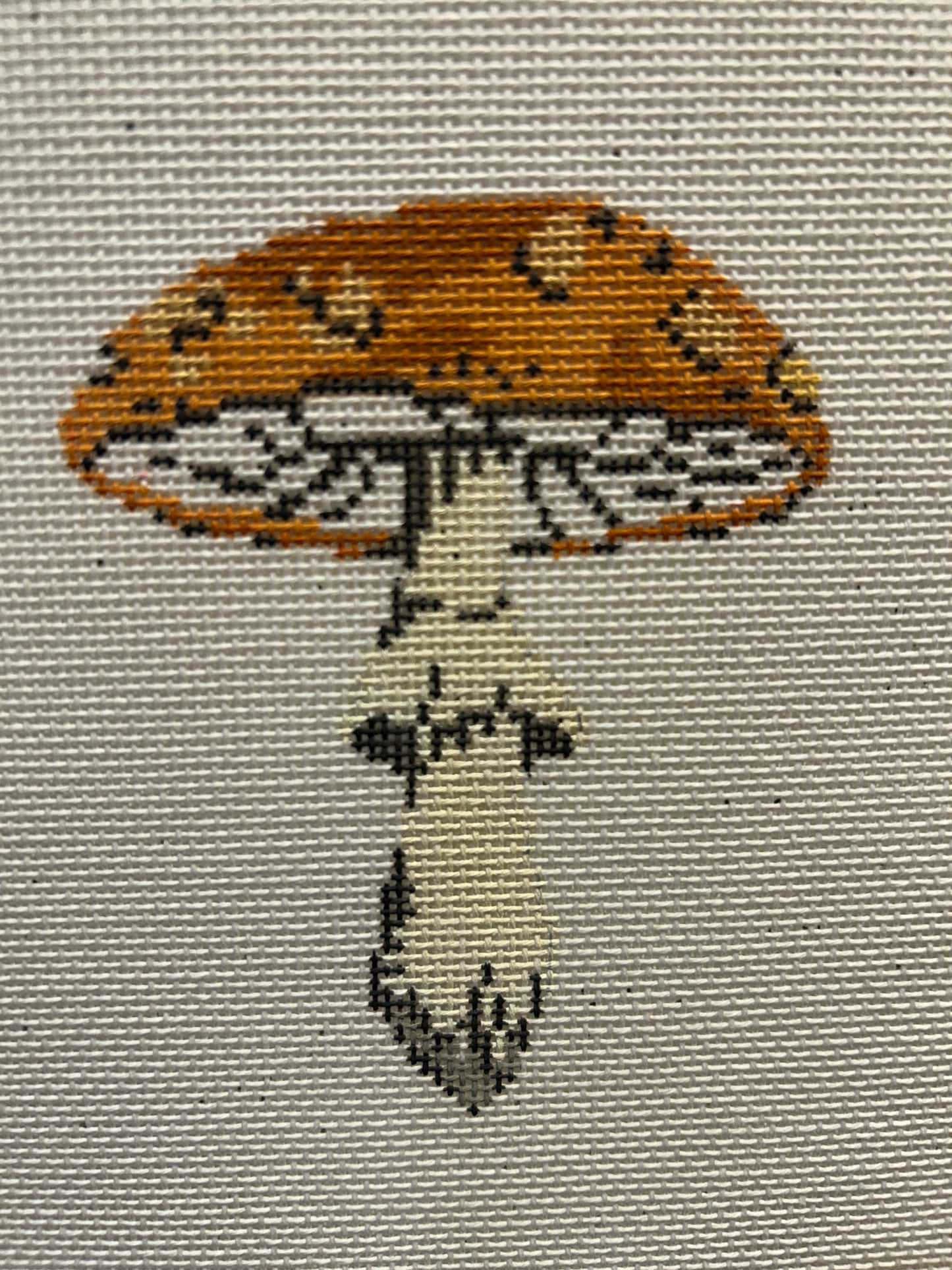 Mushroom Series - Orange