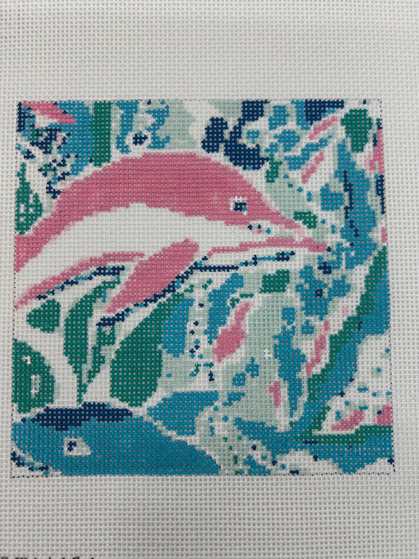 Dolphin