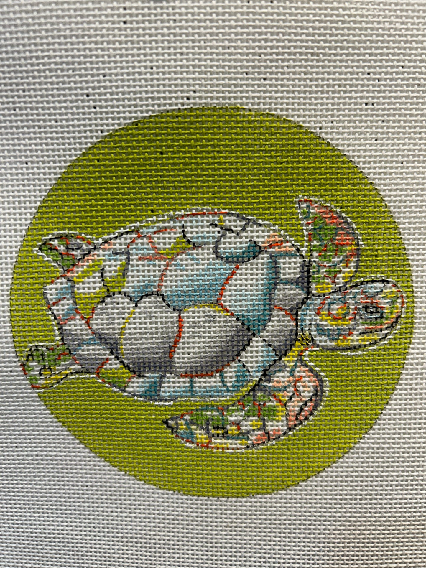 Turtle on Lime