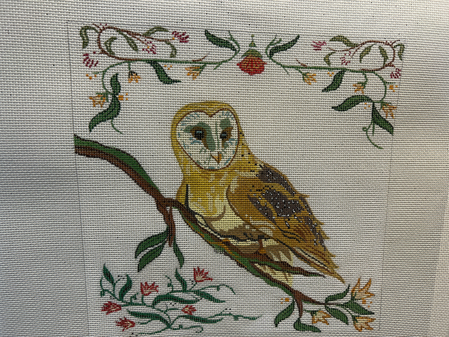 Owl
