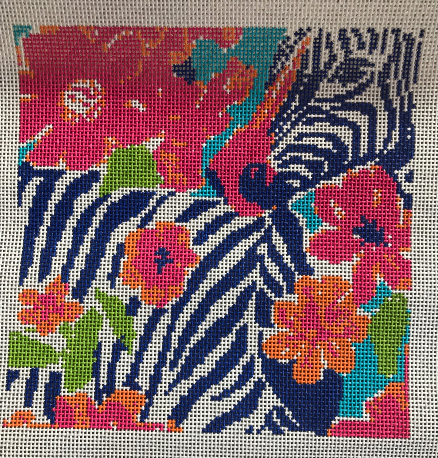 Zebra