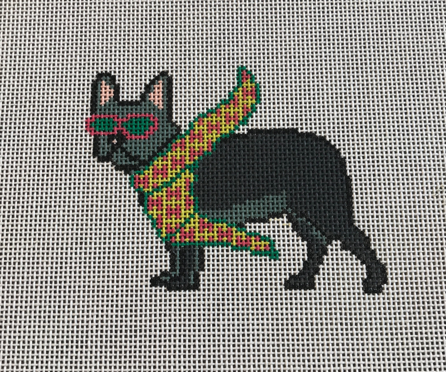 Bougie French Bulldog