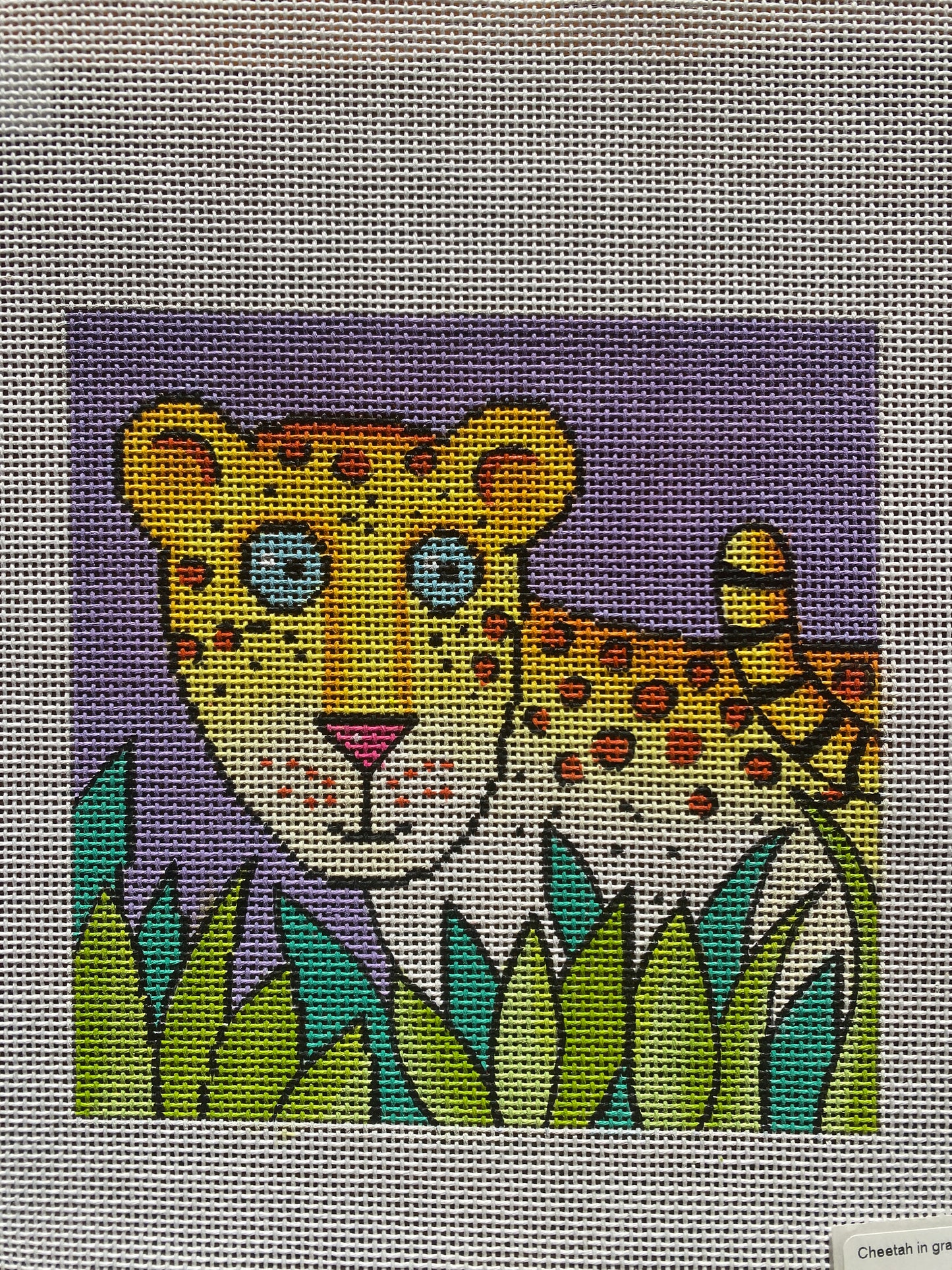Cheetah in Grass