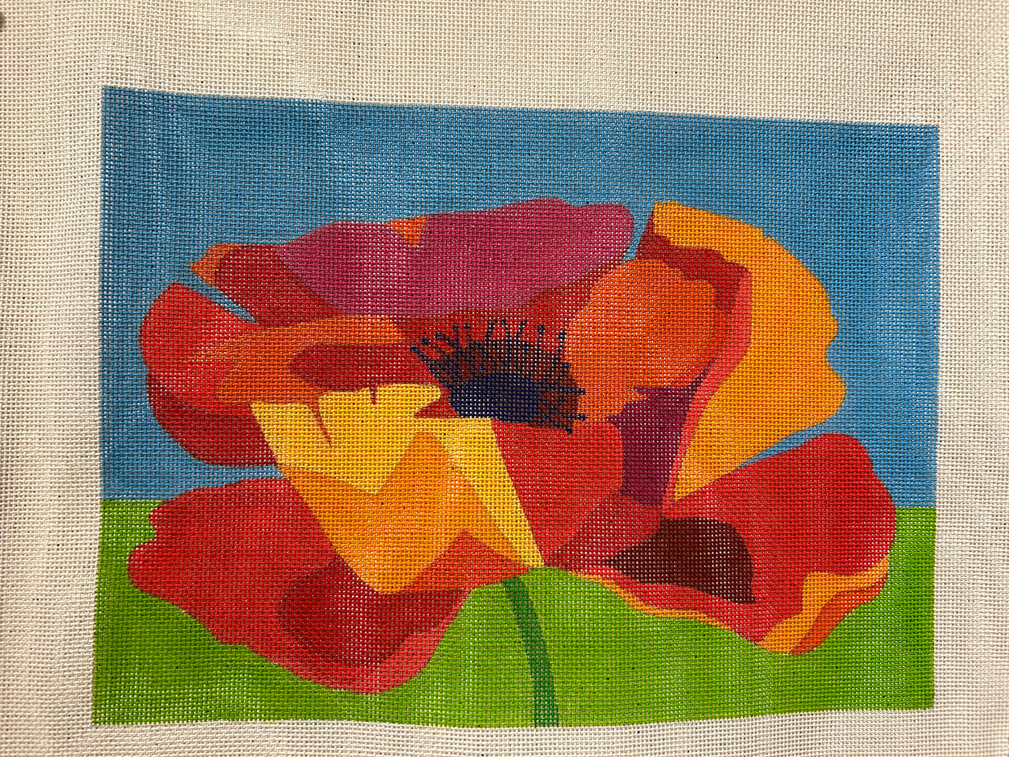 Poppy 18