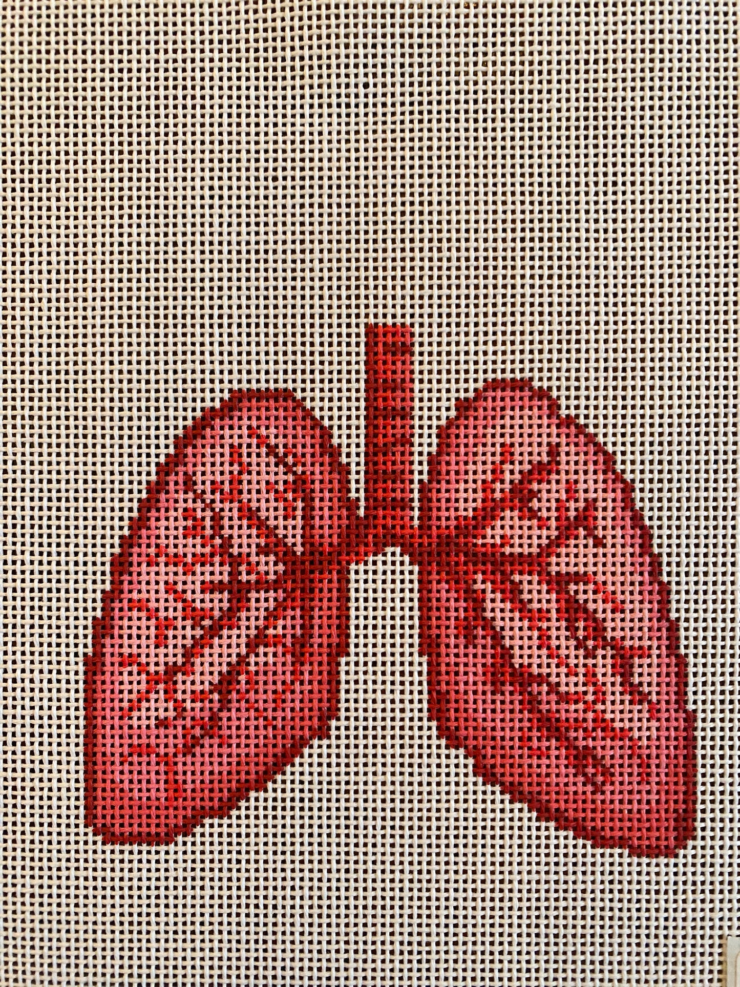 Anatomical Lung