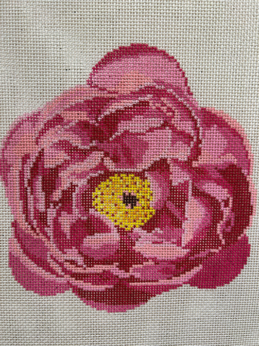 Peony