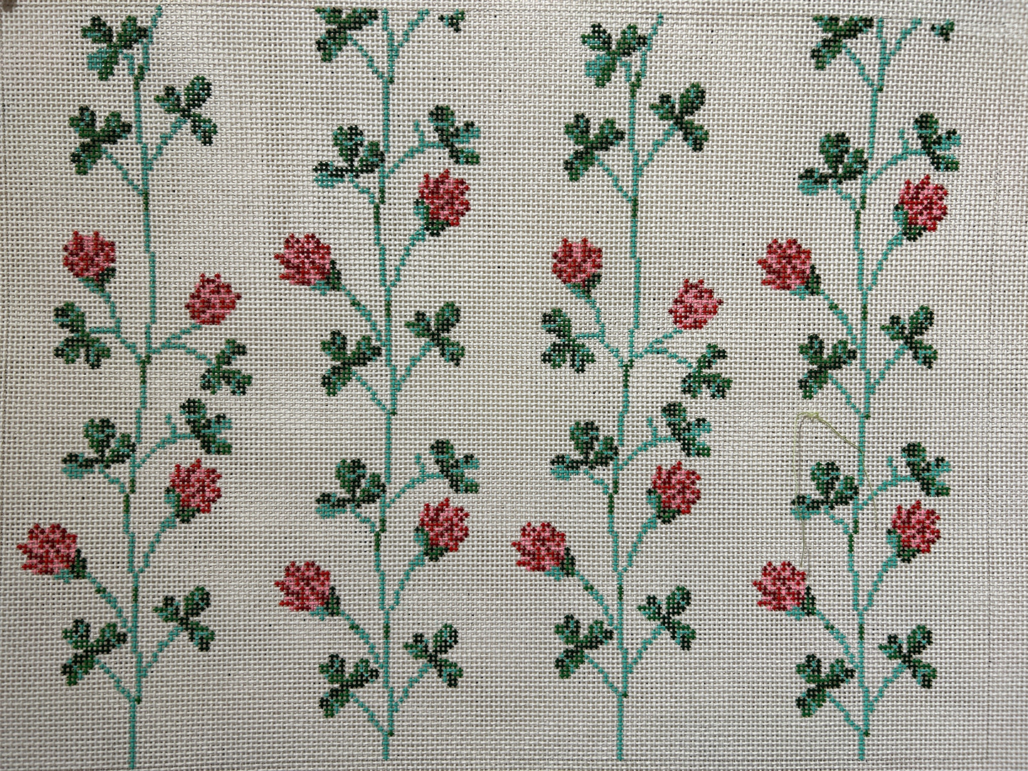 Red Clover