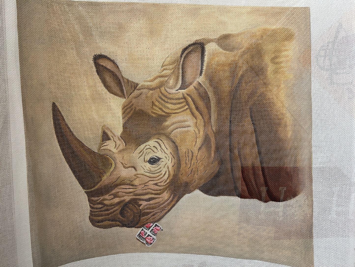 Stampeding Rhino