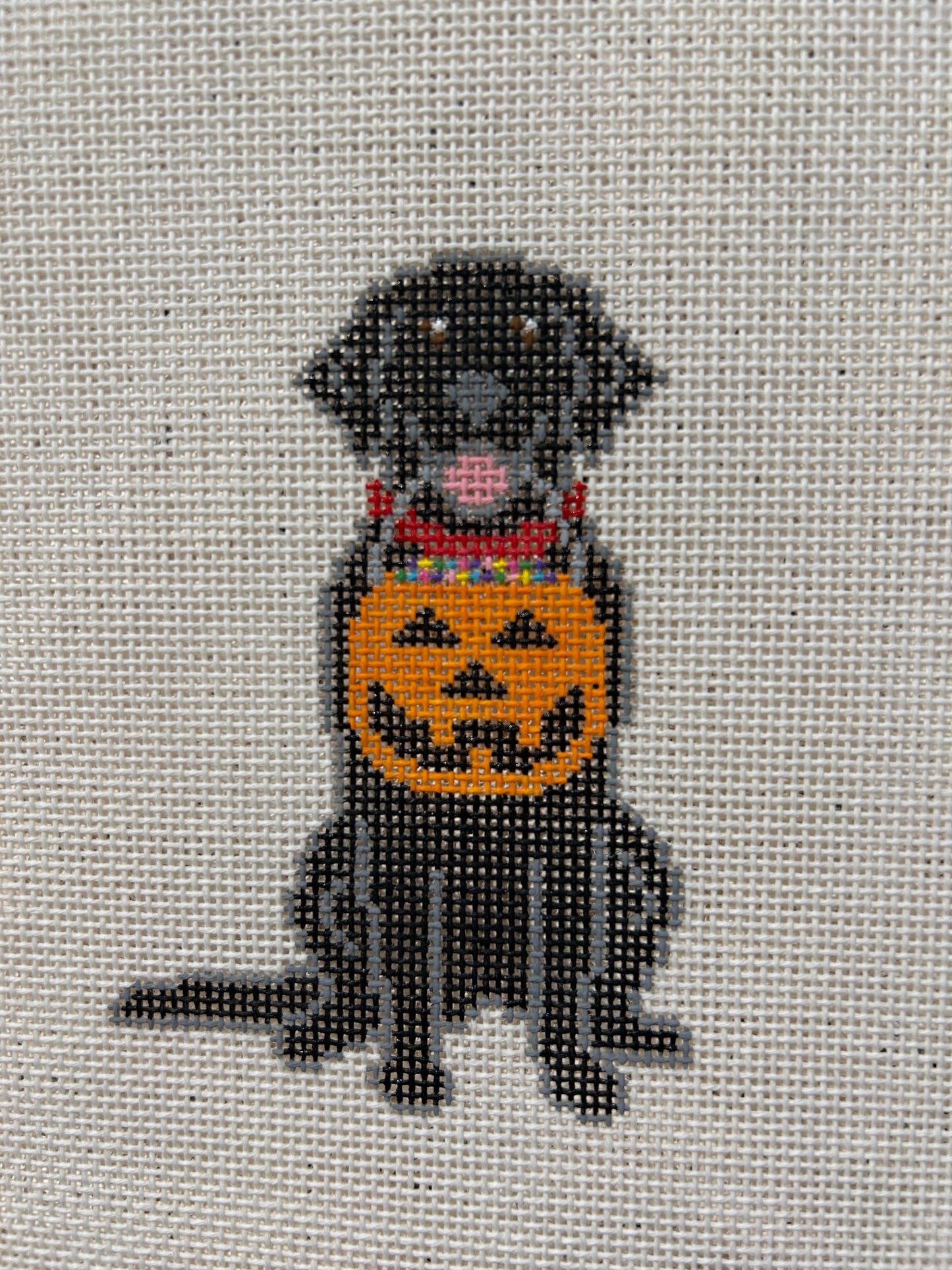 Halloween Dog - Black Lab