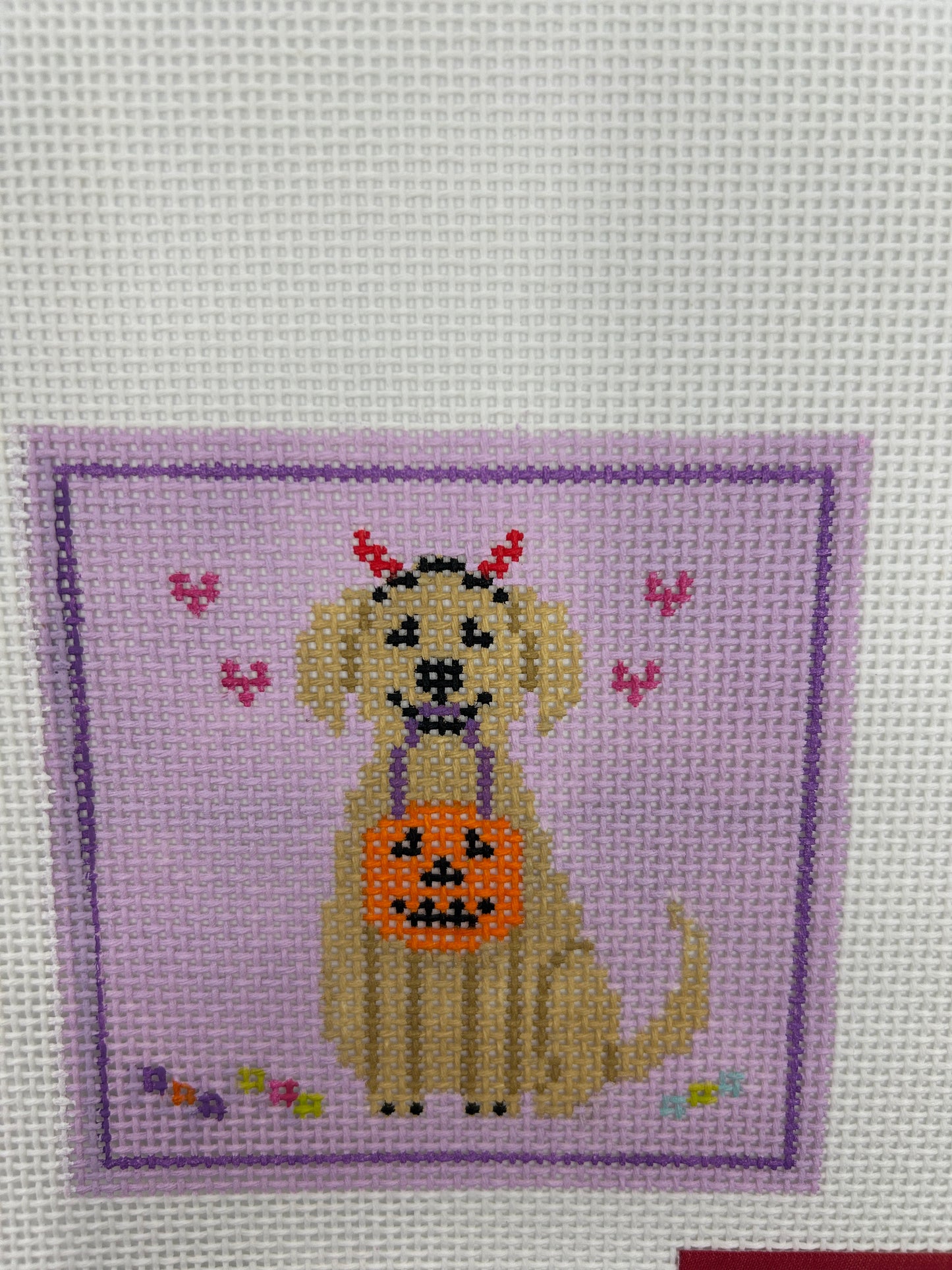 Trick or Treat Pup