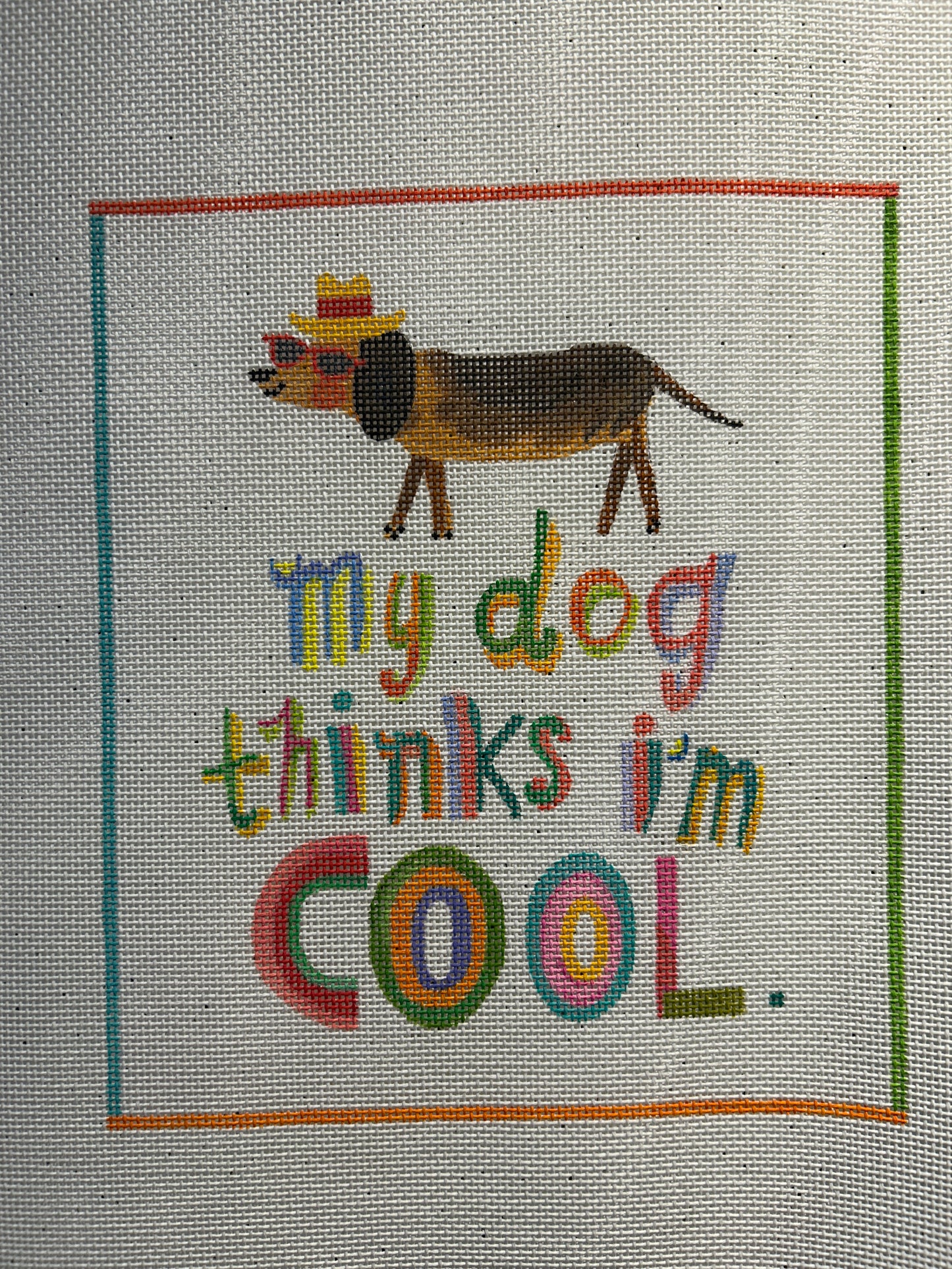 My Dog Thinks I'm Cool