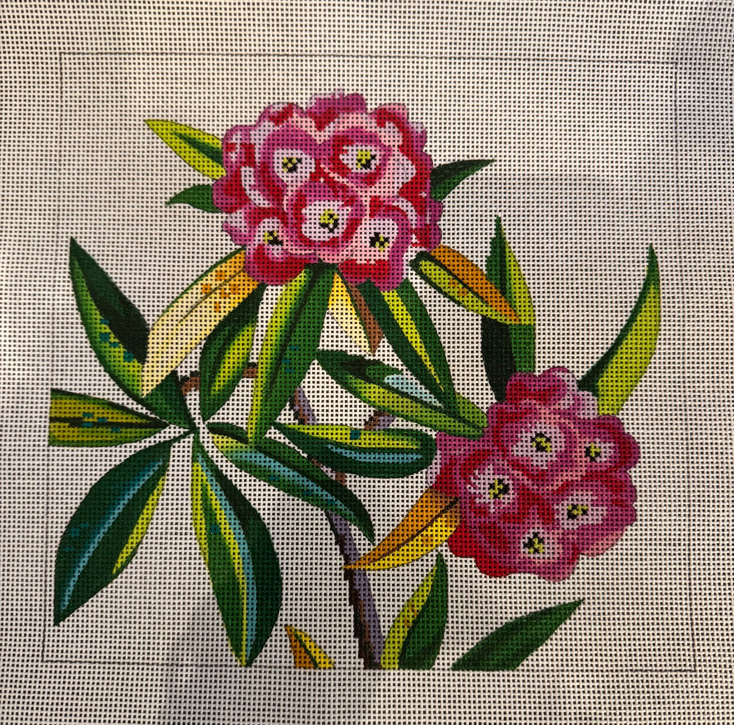 Bright Pink Flowers